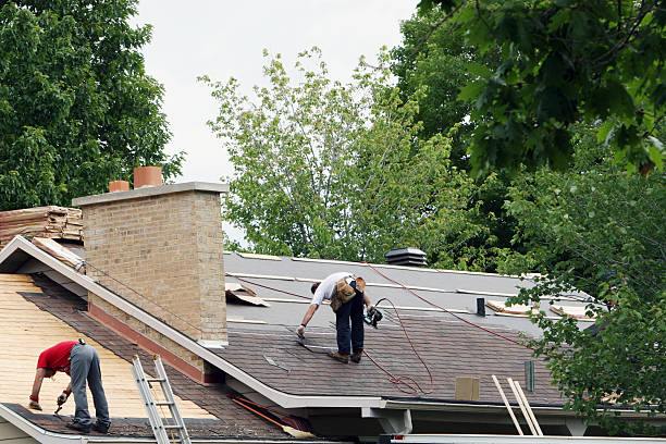 Best Flat Roof Repair Services  in Urbana, MD